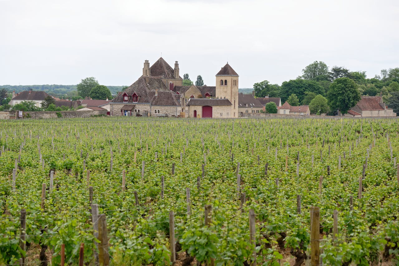 maison en Bourgogne-Franche-Comté